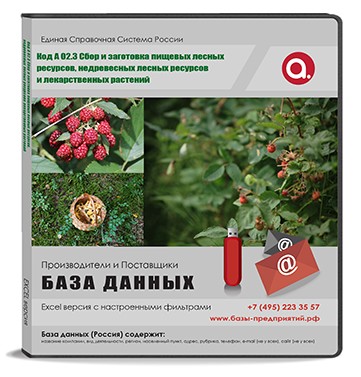 Код A 02.3 Сбор и заготовка пищевых лесных ресурсов, недревесных лесных ресурсов и лекарственных растений Код A 02.3 Сбор и заготовка пищевых лесных ресурсов, недревесных лесных ресурсов и лекарственных растений