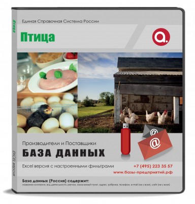 Птица Птица