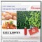 База данных Оптовики. Продукты питания, Россия