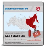 База данных Дальневосточный ФО